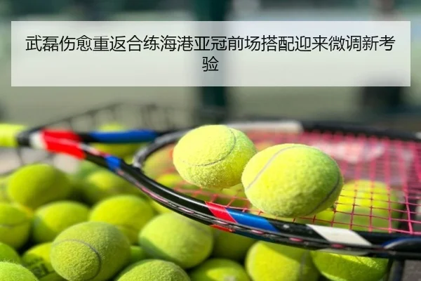 武磊伤愈重返合练海港亚冠前场搭配迎来微调新考验