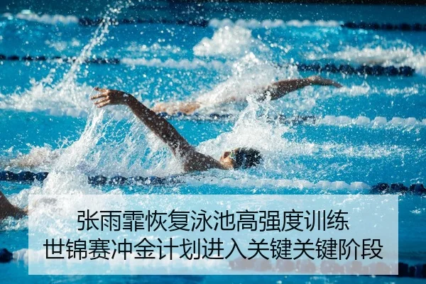 张雨霏恢复泳池高强度训练 世锦赛冲金计划进入关键关键阶段